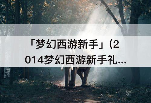 「梦幻西游新手」(2014梦幻西游新手礼包)