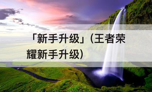 「新手升级」(王者荣耀新手升级)
