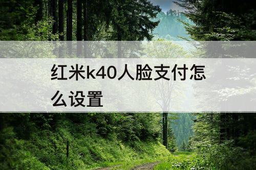 红米k40人脸支付怎么设置