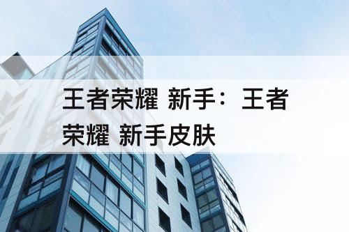 王者荣耀 新手：王者荣耀 新手皮肤