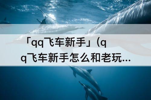 「qq飞车新手」(qq飞车新手怎么和老玩家玩)
