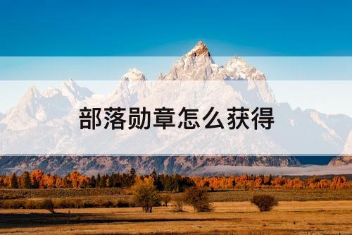 部落勋章怎么获得
