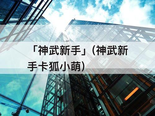 「神武新手」(神武新手卡狐小萌)