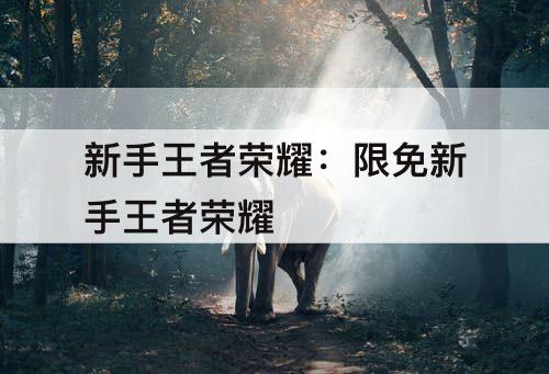 新手王者荣耀：限免新手王者荣耀