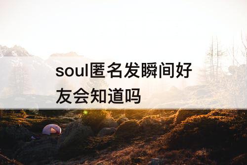 soul匿名发瞬间好友会知道吗