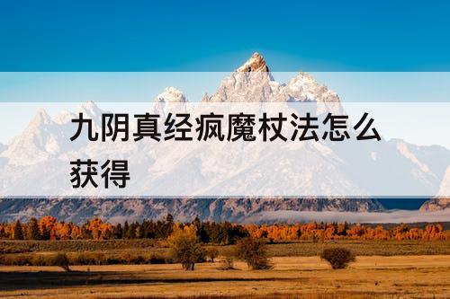 九阴真经疯魔杖法怎么获得