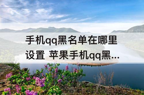 手机qq黑名单在哪里设置 苹果手机qq黑名单在哪里设置?