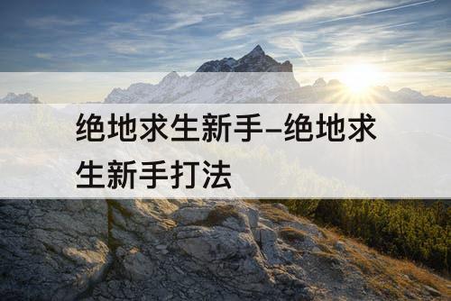 绝地求生新手-绝地求生新手打法