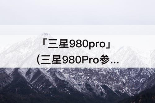 「三星980pro」(三星980Pro参数)