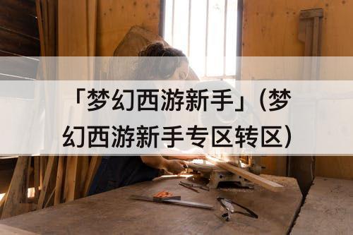 「梦幻西游新手」(梦幻西游新手专区转区)