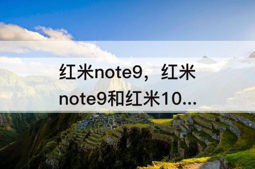 红米note9，红米note9和红米10X