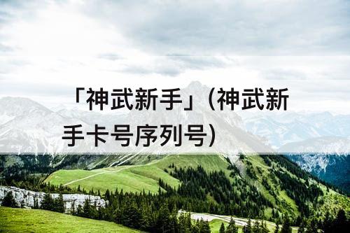 「神武新手」(神武新手卡号序列号)