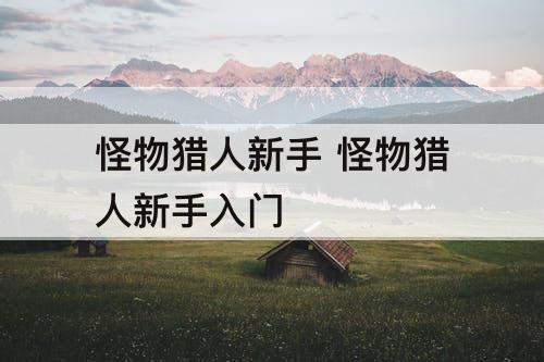 怪物猎人新手 怪物猎人新手入门