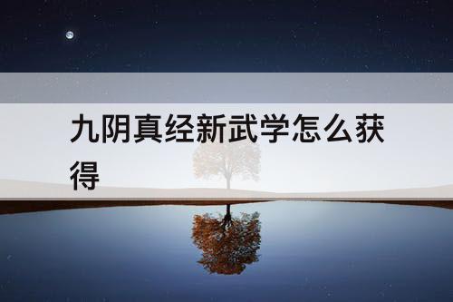 九阴真经新武学怎么获得