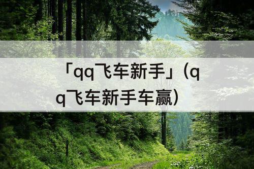「qq飞车新手」(qq飞车新手车赢)