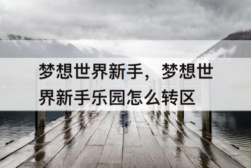 梦想世界新手，梦想世界新手乐园怎么转区