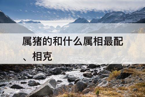 属猪的和什么属相最配、相克