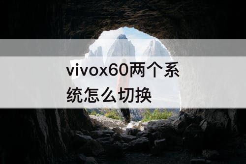 vivox60两个系统怎么切换