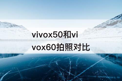 vivox50和vivox60拍照对比