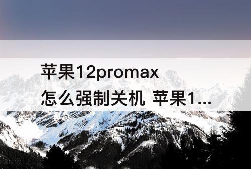 苹果12promax怎么强制关机 苹果12promax怎么强制关机重启