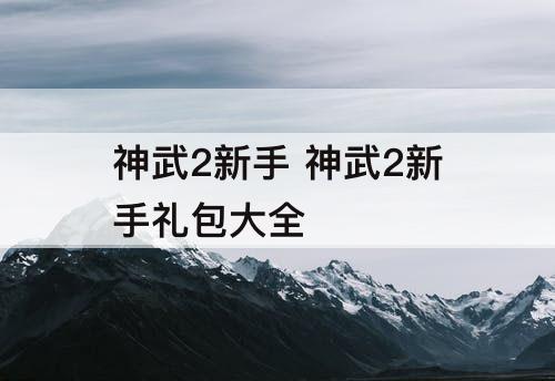神武2新手 神武2新手礼包大全