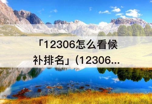 「12306怎么看候补排名」(12306怎么看候补排名较少)