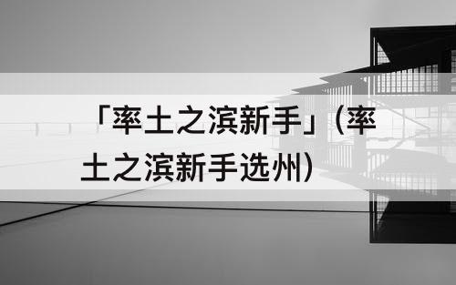 「率土之滨新手」(率土之滨新手选州)