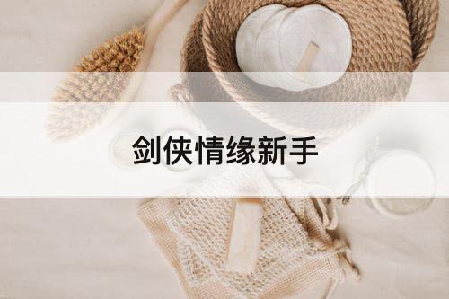 剑侠情缘新手