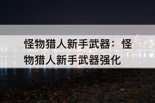 怪物猎人新手武器：怪物猎人新手武器强化