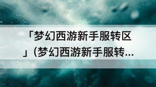 「梦幻西游新手服转区」(梦幻西游新手服转区名额)