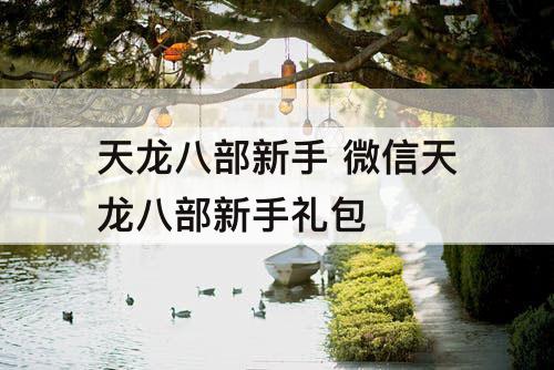 天龙八部新手 微信天龙八部新手礼包