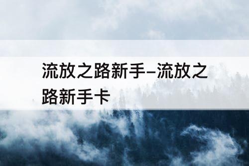 流放之路新手-流放之路新手卡