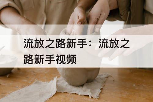 流放之路新手：流放之路新手视频