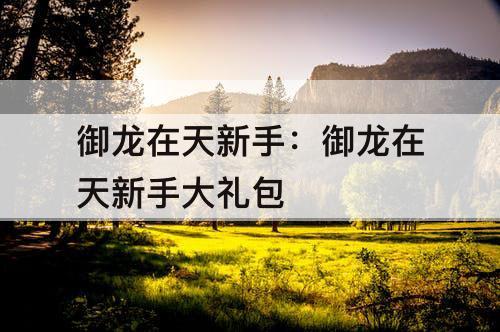 御龙在天新手：御龙在天新手大礼包