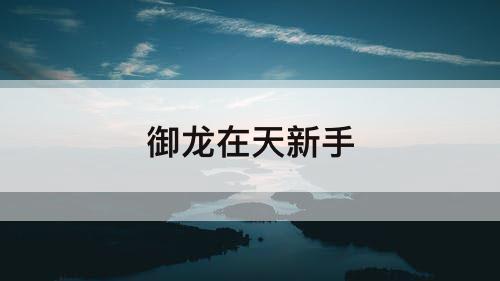 御龙在天新手