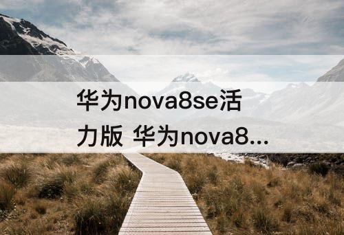 华为nova8se活力版 华为nova8se活力版是双卡双待吗
