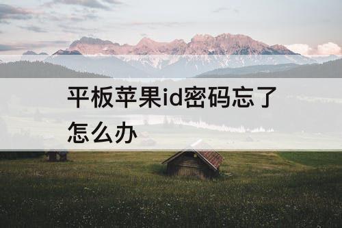 平板苹果id密码忘了怎么办