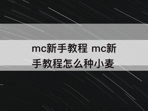 mc新手教程 mc新手教程怎么种小麦