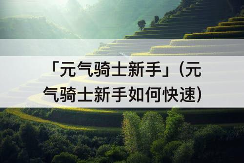 「元气骑士新手」(元气骑士新手如何快速)