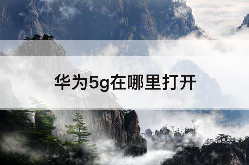 华为5g在哪里打开