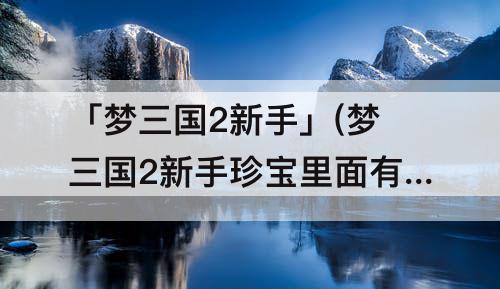 「梦三国2新手」(梦三国2新手珍宝里面有什么)