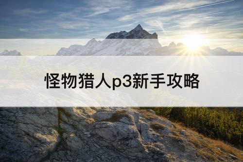 怪物猎人p3新手攻略