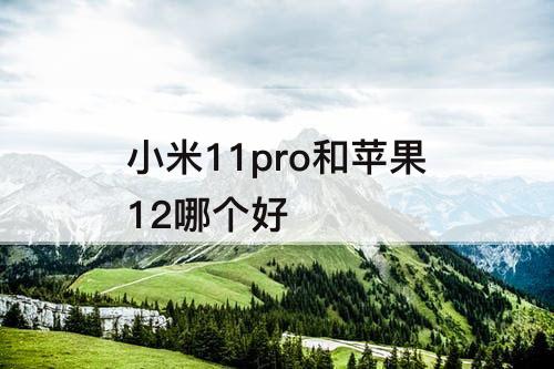 小米11pro和苹果12哪个好