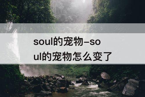 soul的宠物-soul的宠物怎么变了