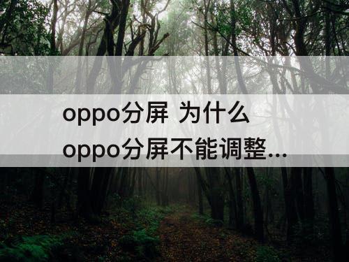 oppo分屏 为什么oppo分屏不能调整比例