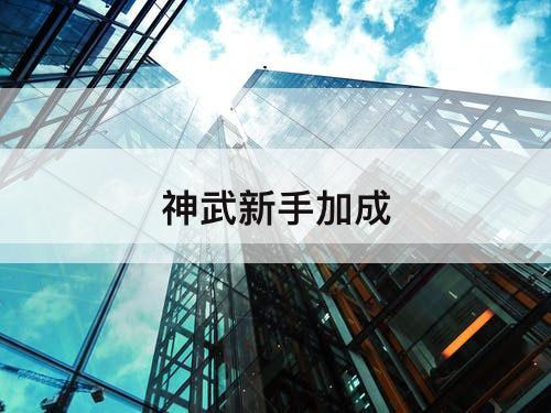 神武新手加成