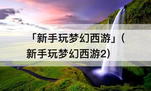 「新手玩梦幻西游」(新手玩梦幻西游2)