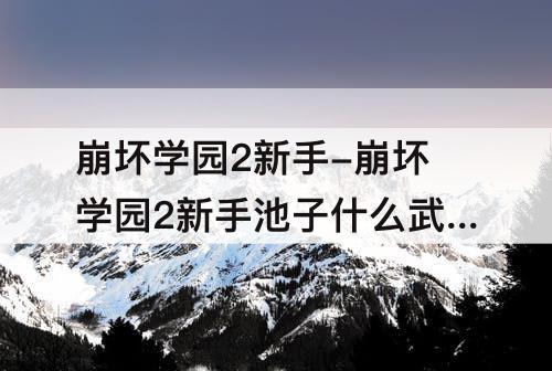 崩坏学园2新手-崩坏学园2新手池子什么武器好