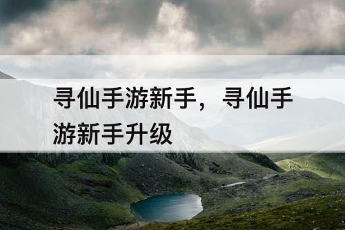 寻仙手游新手，寻仙手游新手升级