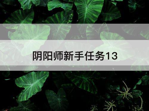 阴阳师新手任务13